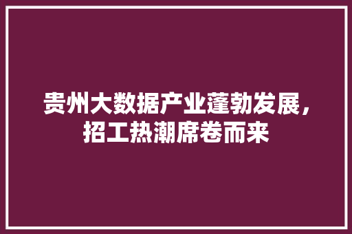 贵州大数据产业蓬勃发展，招工热潮席卷而来