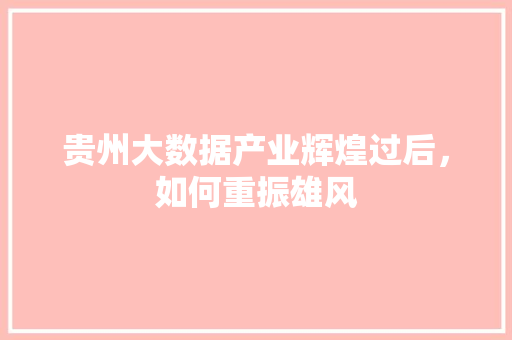 贵州大数据产业辉煌过后，如何重振雄风
