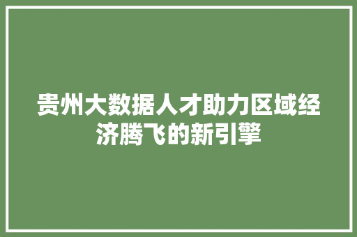 贵州大数据人才助力区域经济腾飞的新引擎