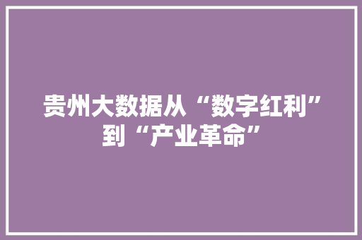 贵州大数据从“数字红利”到“产业革命” 市场营销范文