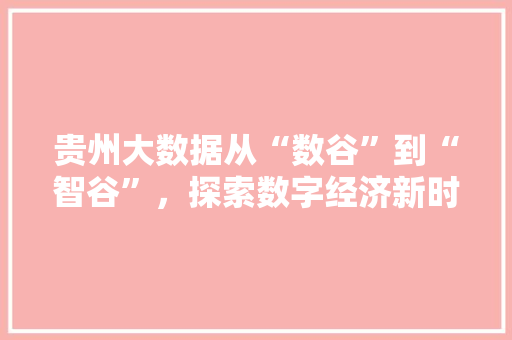 贵州大数据从“数谷”到“智谷”，探索数字经济新时代