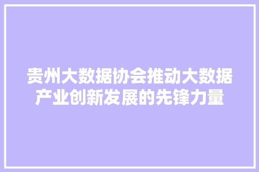贵州大数据协会推动大数据产业创新发展的先锋力量