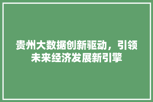 贵州大数据创新驱动，引领未来经济发展新引擎