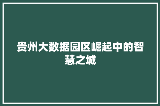 贵州大数据园区崛起中的智慧之城
