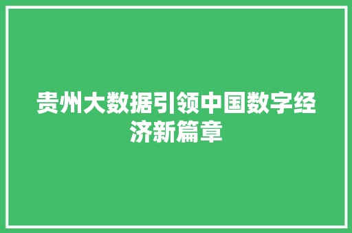贵州大数据引领中国数字经济新篇章