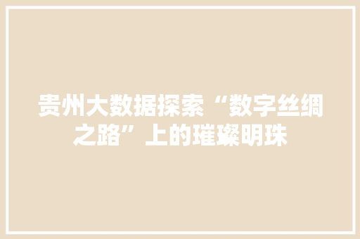 贵州大数据探索“数字丝绸之路”上的璀璨明珠