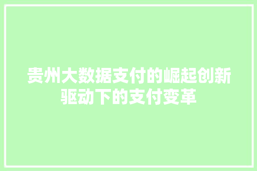 贵州大数据支付的崛起创新驱动下的支付变革