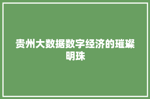 贵州大数据数字经济的璀璨明珠