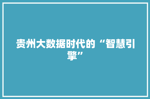 贵州大数据时代的“智慧引擎”