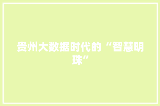 贵州大数据时代的“智慧明珠”