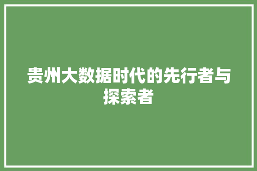 贵州大数据时代的先行者与探索者