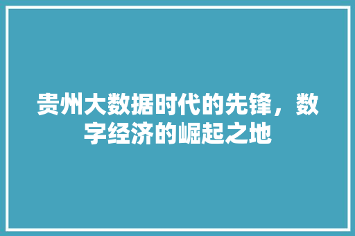 贵州大数据时代的先锋，数字经济的崛起之地