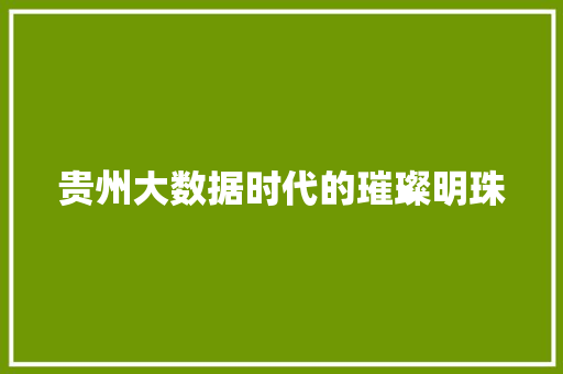 贵州大数据时代的璀璨明珠