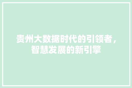 贵州大数据时代的引领者，智慧发展的新引擎