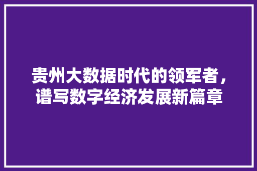 贵州大数据时代的领军者，谱写数字经济发展新篇章