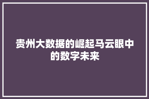贵州大数据的崛起马云眼中的数字未来