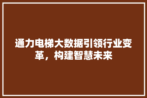 通力电梯大数据引领行业变革，构建智慧未来