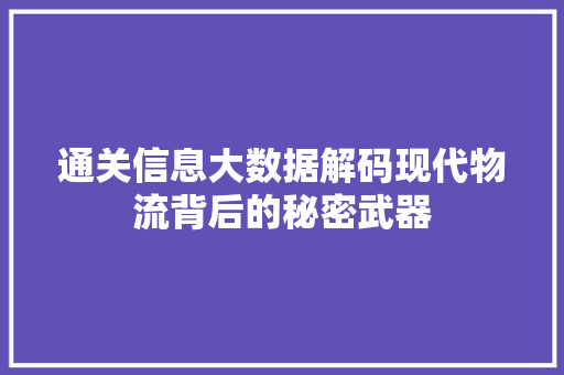 通关信息大数据解码现代物流背后的秘密武器