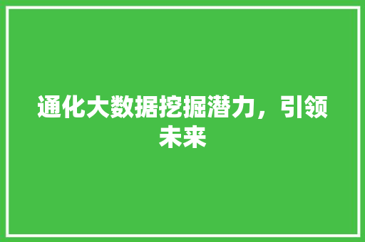 通化大数据挖掘潜力，引领未来
