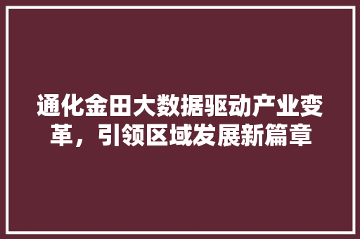 通化金田大数据驱动产业变革，引领区域发展新篇章
