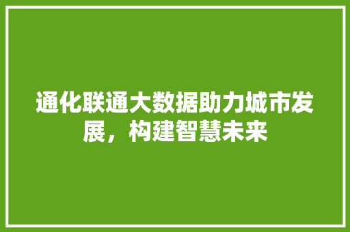 通化联通大数据助力城市发展，构建智慧未来
