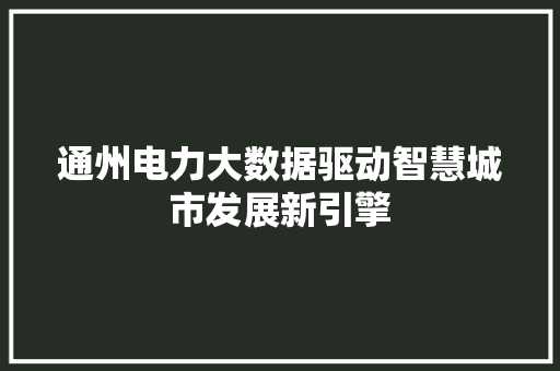 通州电力大数据驱动智慧城市发展新引擎