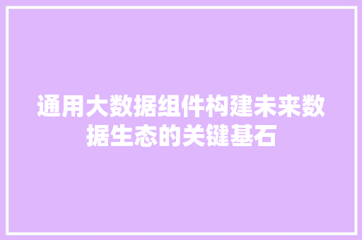 通用大数据组件构建未来数据生态的关键基石