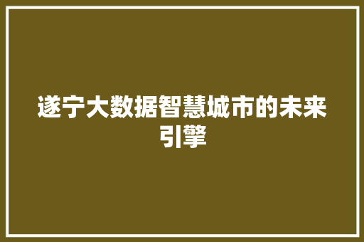 遂宁大数据智慧城市的未来引擎