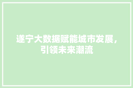 遂宁大数据赋能城市发展，引领未来潮流
