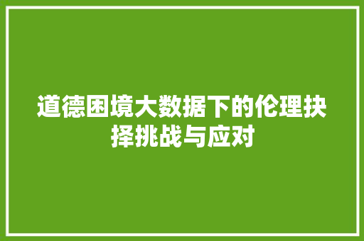 道德困境大数据下的伦理抉择挑战与应对