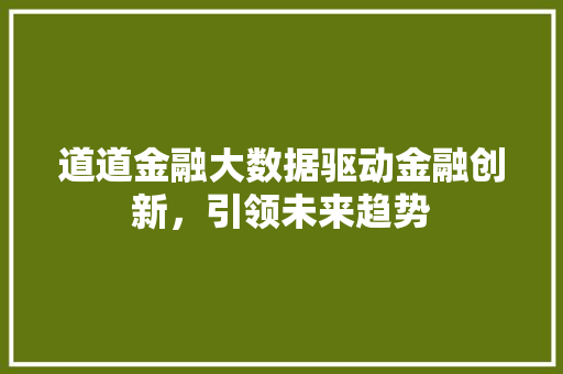道道金融大数据驱动金融创新，引领未来趋势