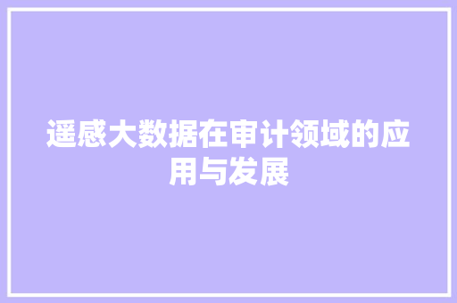 遥感大数据在审计领域的应用与发展