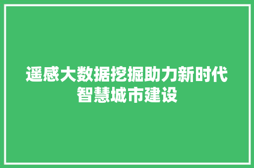 遥感大数据挖掘助力新时代智慧城市建设
