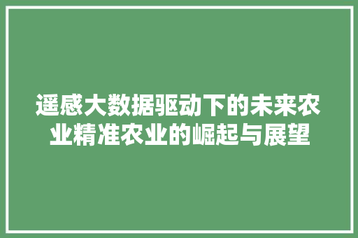 遥感大数据驱动下的未来农业精准农业的崛起与展望