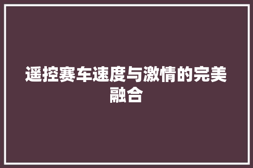 遥控赛车速度与激情的完美融合
