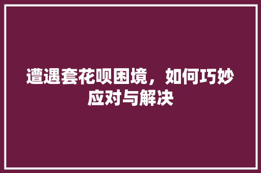 遭遇套花呗困境，如何巧妙应对与解决