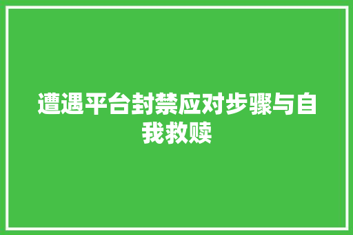 遭遇平台封禁应对步骤与自我救赎