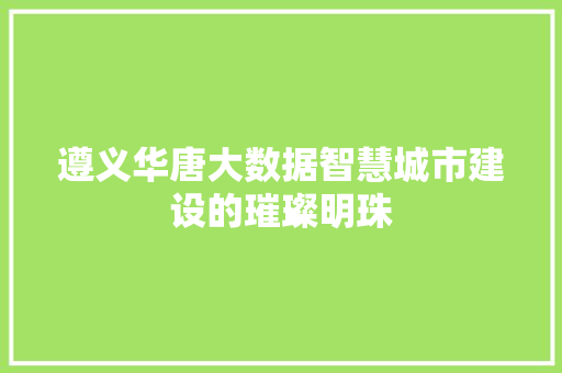 遵义华唐大数据智慧城市建设的璀璨明珠