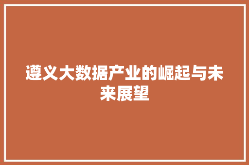 遵义大数据产业的崛起与未来展望