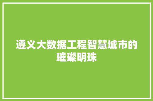 遵义大数据工程智慧城市的璀璨明珠