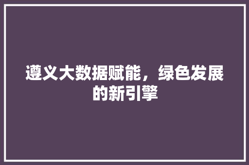 遵义大数据赋能，绿色发展的新引擎
