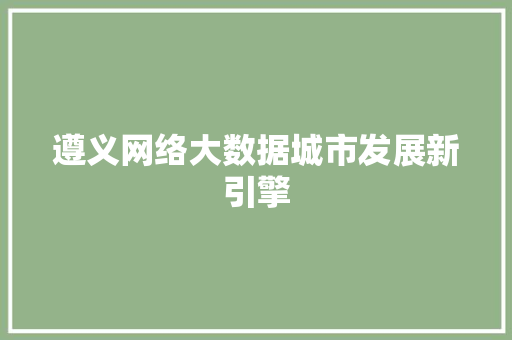 遵义网络大数据城市发展新引擎
