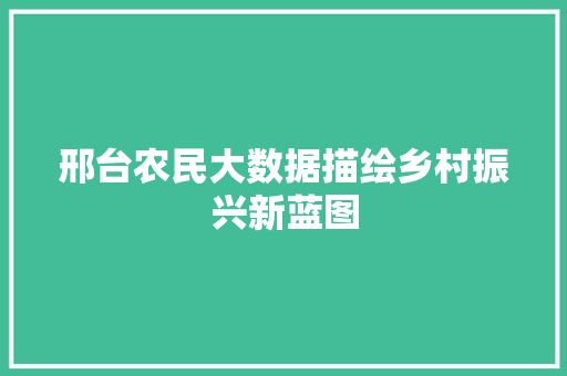 邢台农民大数据描绘乡村振兴新蓝图