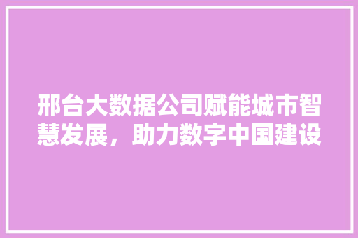 邢台大数据公司赋能城市智慧发展，助力数字中国建设
