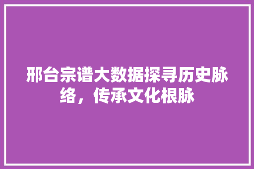 邢台宗谱大数据探寻历史脉络，传承文化根脉