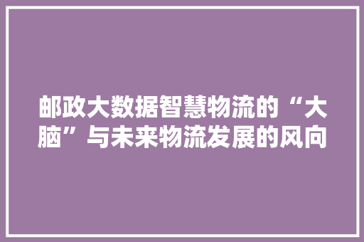 邮政大数据智慧物流的“大脑”与未来物流发展的风向标