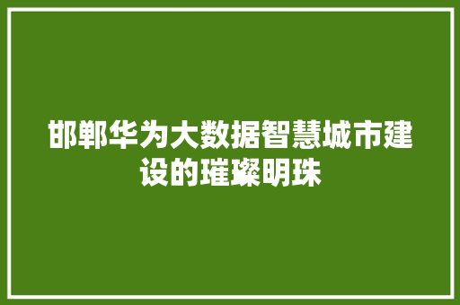 邯郸华为大数据智慧城市建设的璀璨明珠