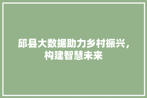 邱县大数据助力乡村振兴，构建智慧未来