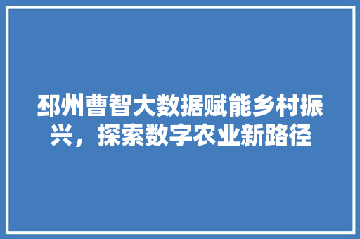 邳州曹智大数据赋能乡村振兴，探索数字农业新路径