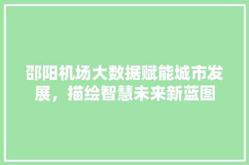 邵阳机场大数据赋能城市发展，描绘智慧未来新蓝图